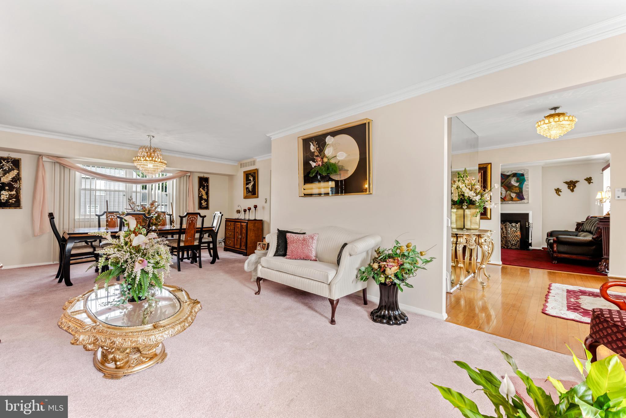 OLDE MILL ESTATES - Residential