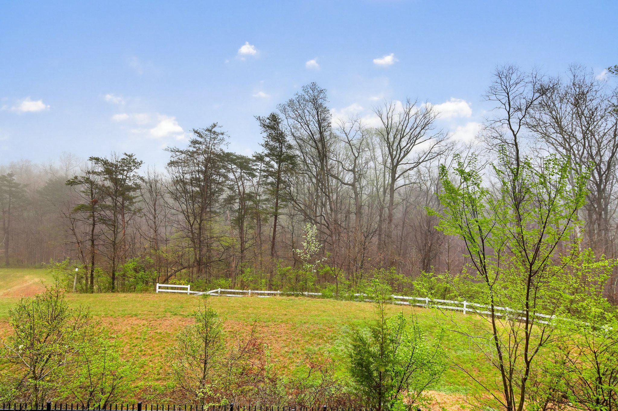 BLACKBURN VILLAGE - Residential
