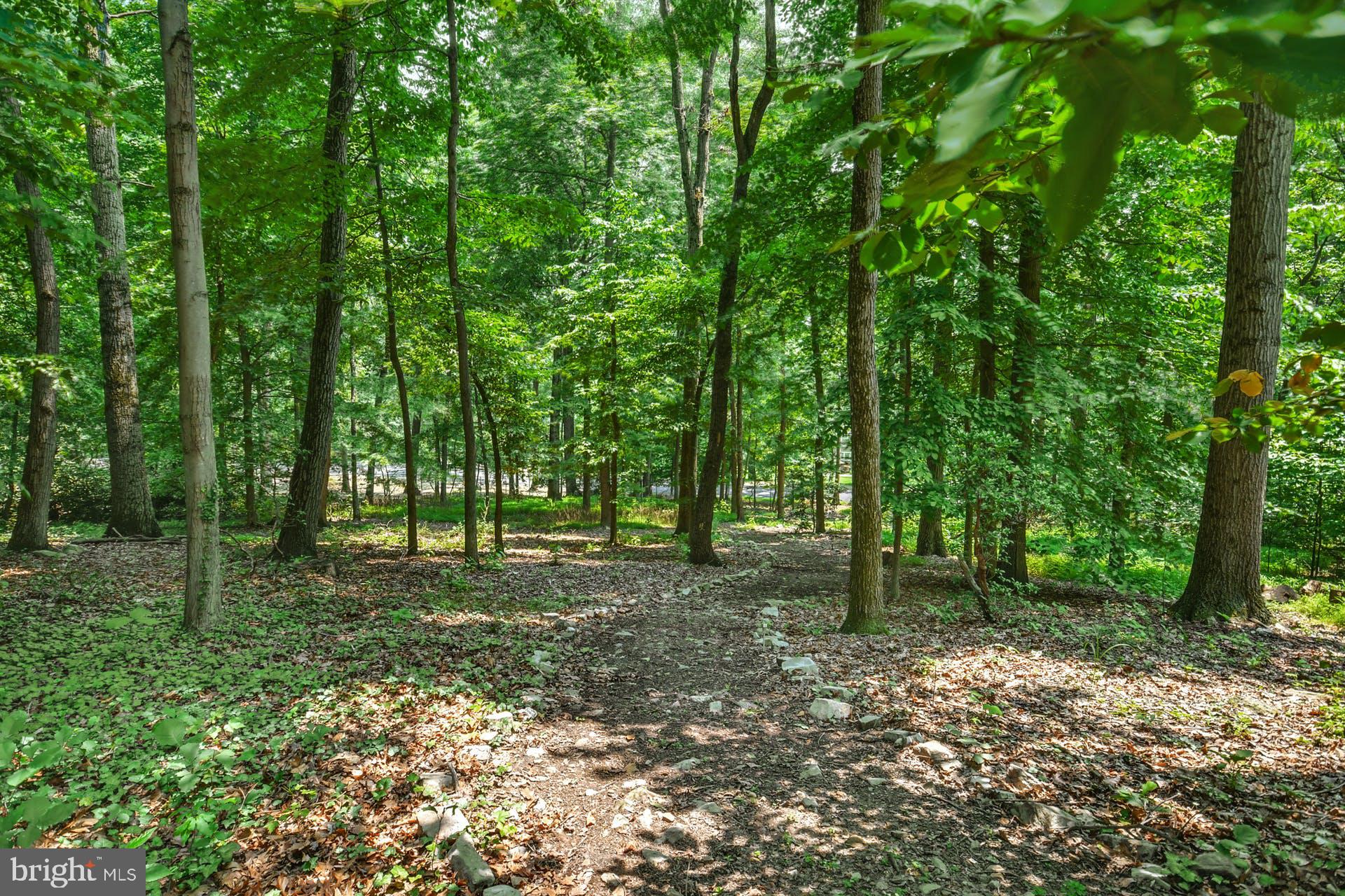 VALLEY FORGE MTN - Residential