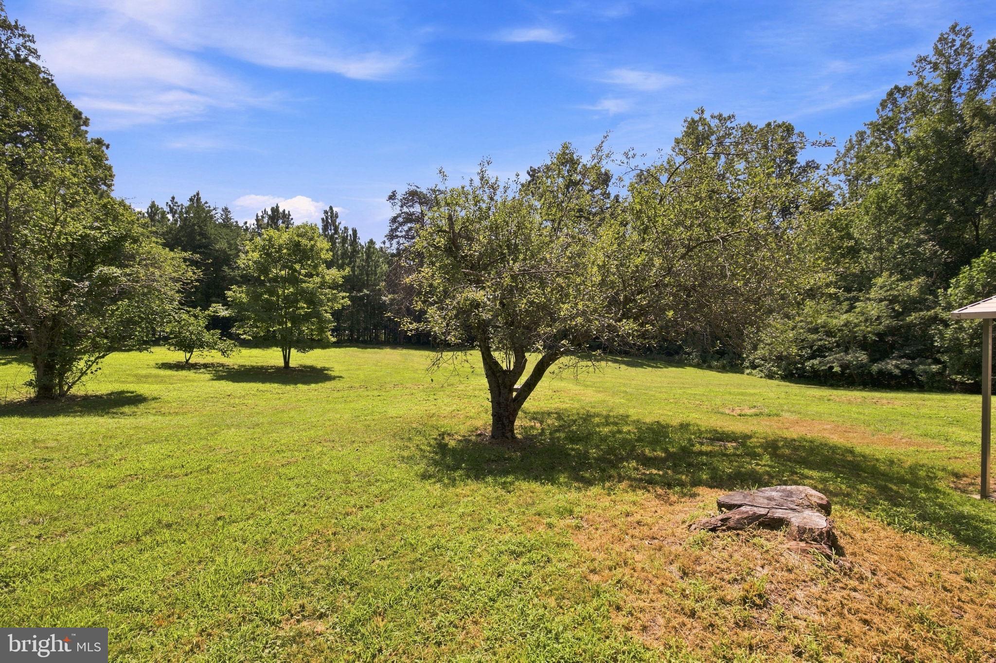 8020 ROBERT E LEE DRIVE