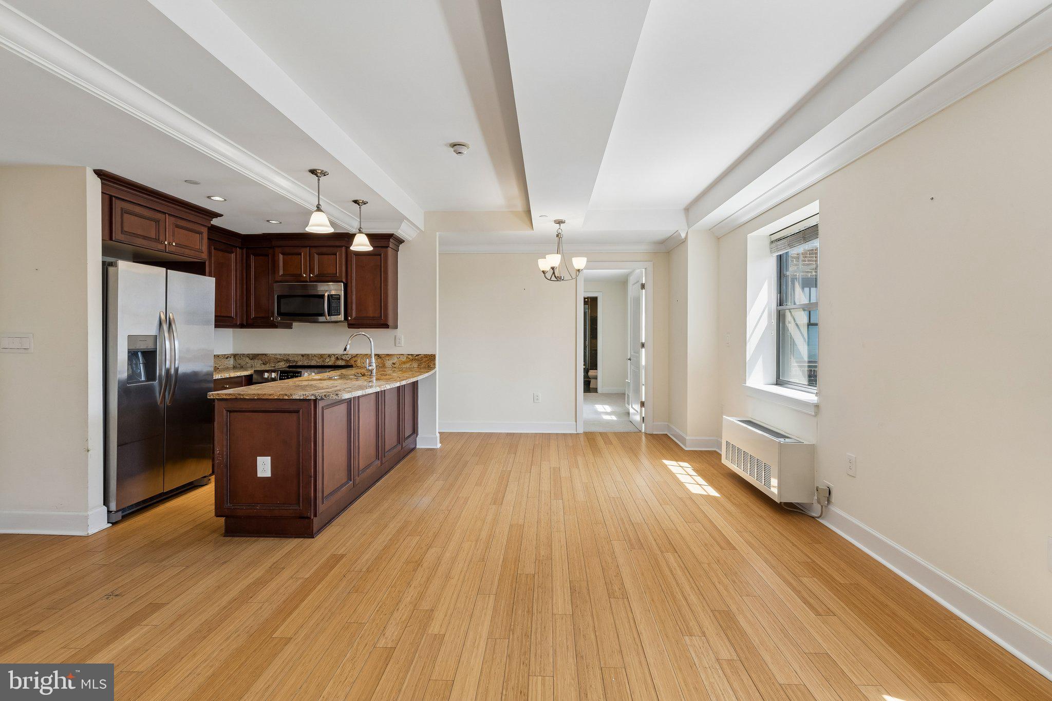 1701 LOCUST STREET 15 1905