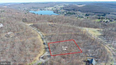 Vacant Land For Sale - LOT 79 Sundance Way<br/> MC HENRY, MD 21541