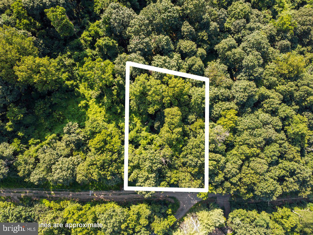 Discover the perfect blend of nature and convenience with this walkable and open 0.70-acre wooded lot perched near the top of the mountain in Fairfield, PA. Offering beautiful seasonal views—especially in winter, when the trees are bare and the landscape opens up for breathtaking vistas. This property is perc approved and comes with a fully designed and approved septic system for a 3-bedroom home, including a 3-year septic building permit—saving you time and hassle when you're ready to build. Electric is available at the property line, and a well will be required. Whether you're dreaming of a peaceful full-time residence or a cozy mountain retreat, this lot is ready to bring your vision to life. Conveniently located just minutes from Liberty Mountain Resort and outdoor recreation. Don’t miss this opportunity to build your dream home in a serene and scenic setting!
