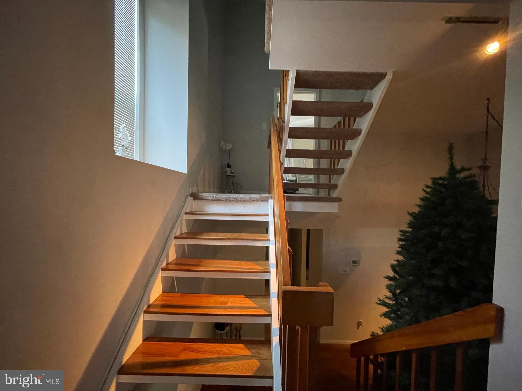 KING OF PRUSSIA - Residential Lease