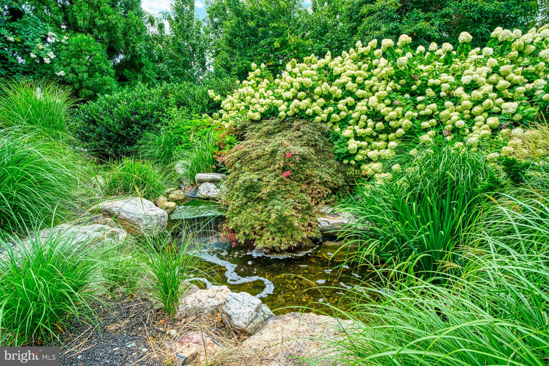 BEACON HILL - Residential