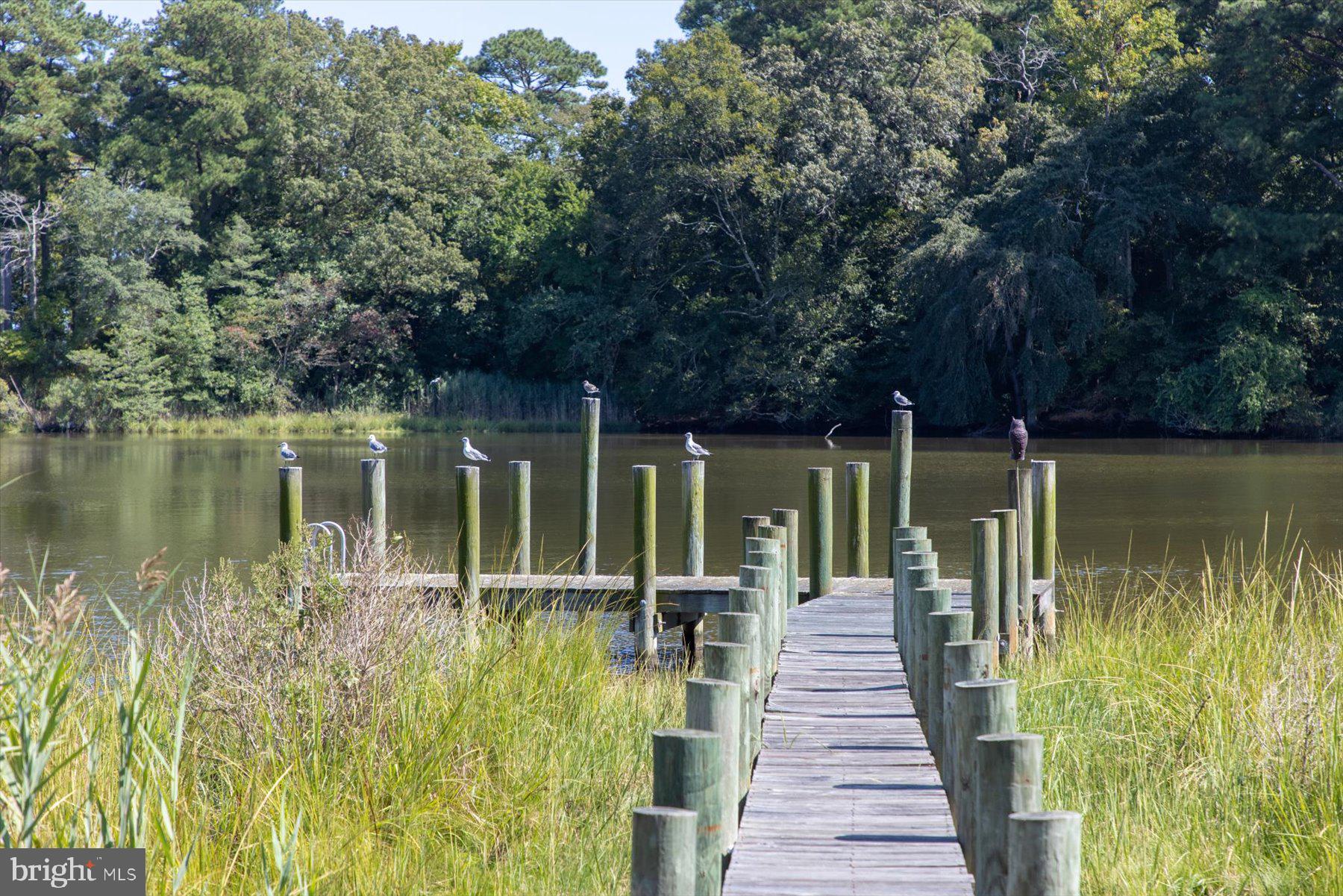 CEDAR CREEK - Residential