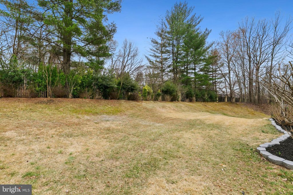 listing image 113