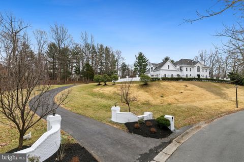 listing image 124