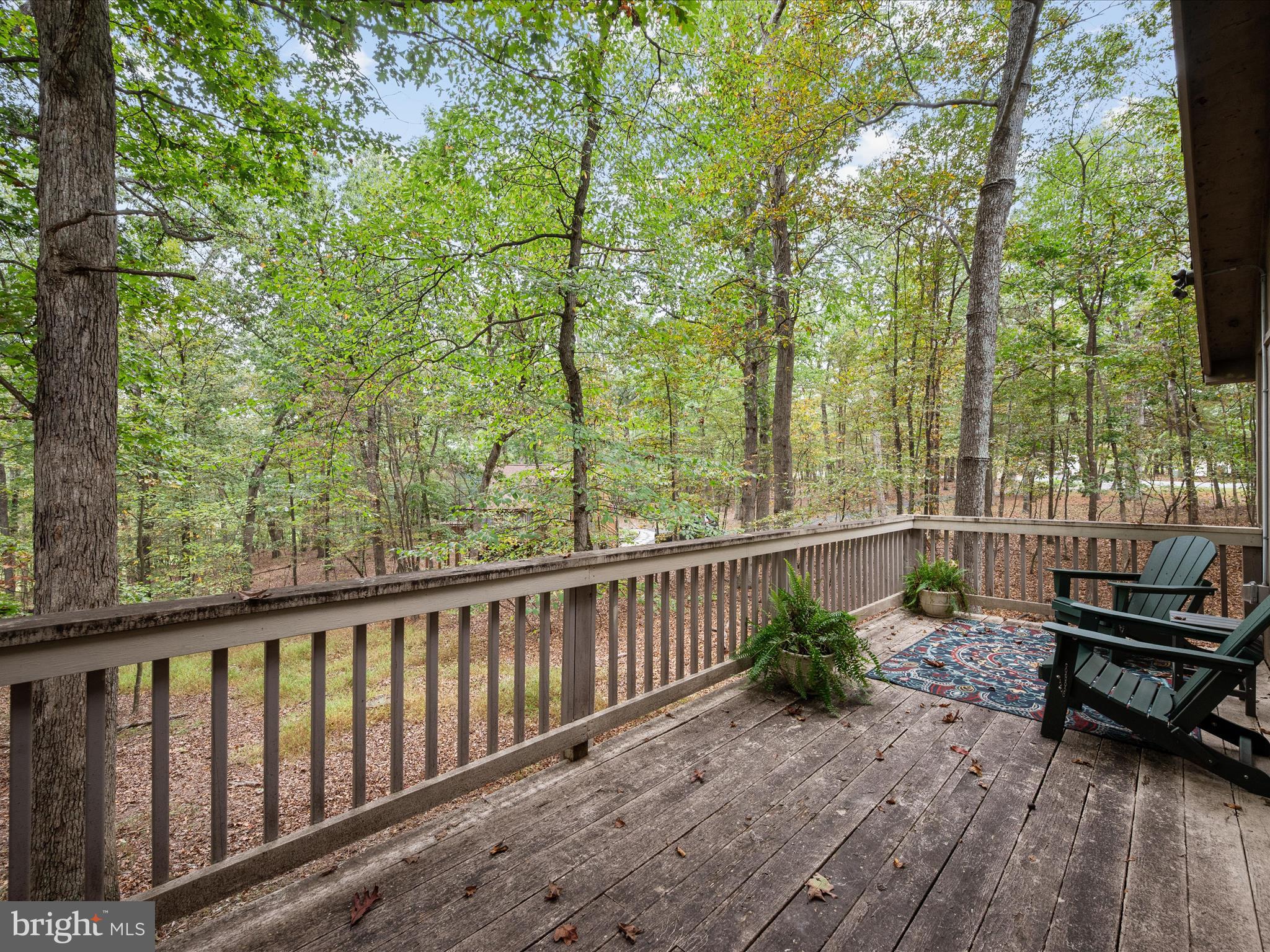 THE WOODS - Residential