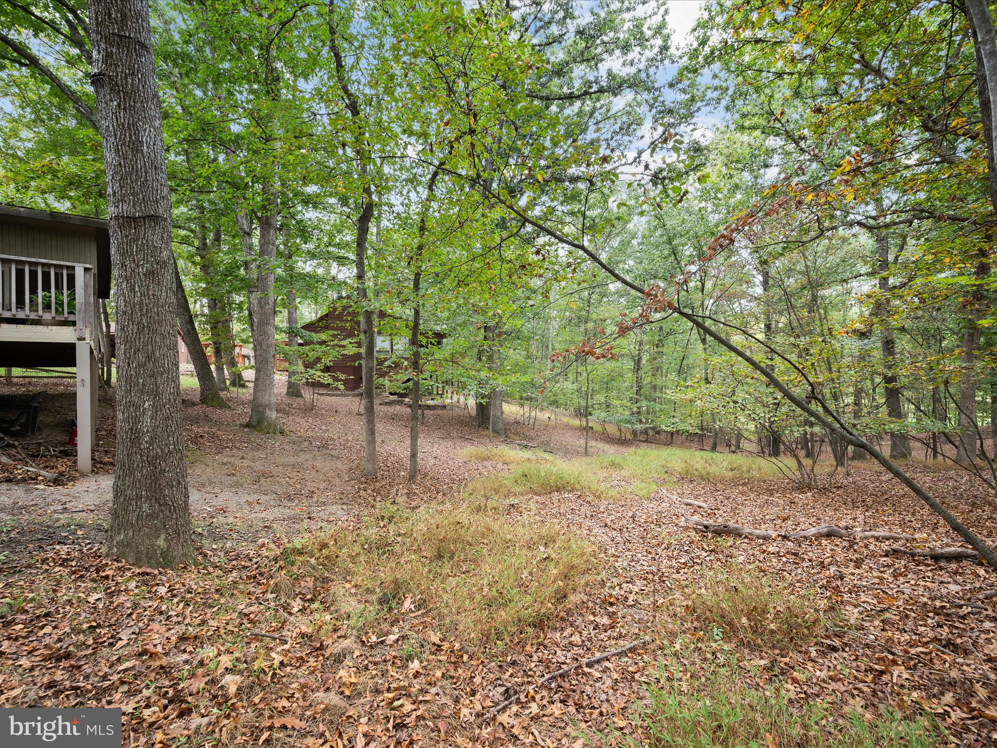 THE WOODS - Residential