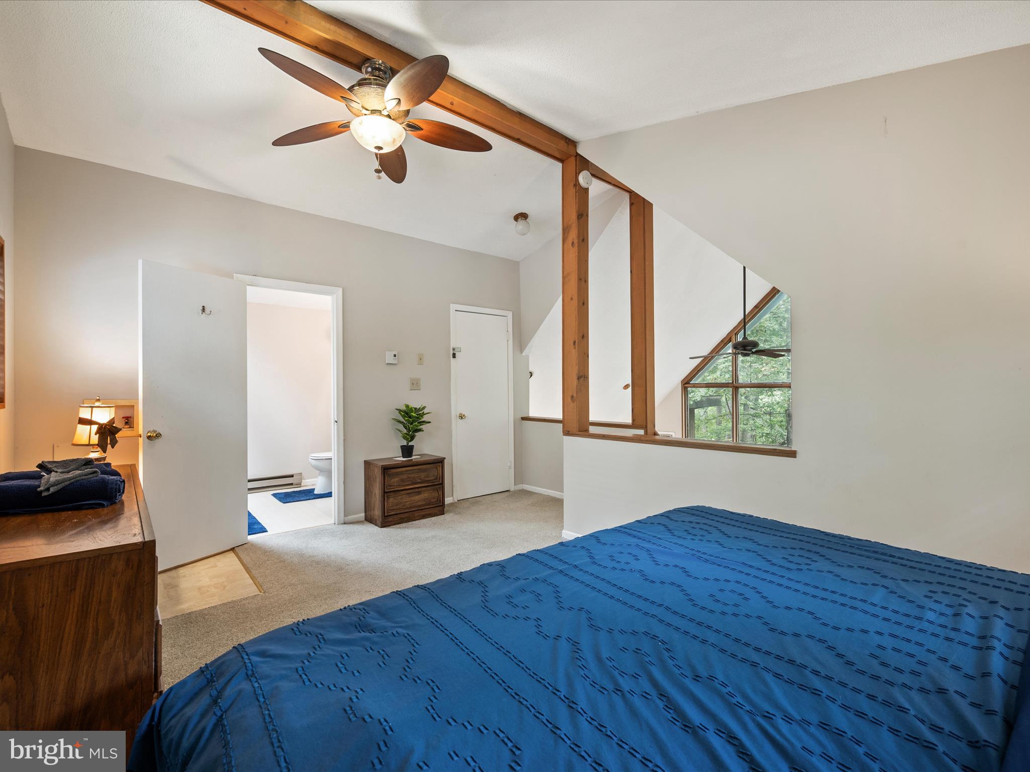 THE WOODS - Residential