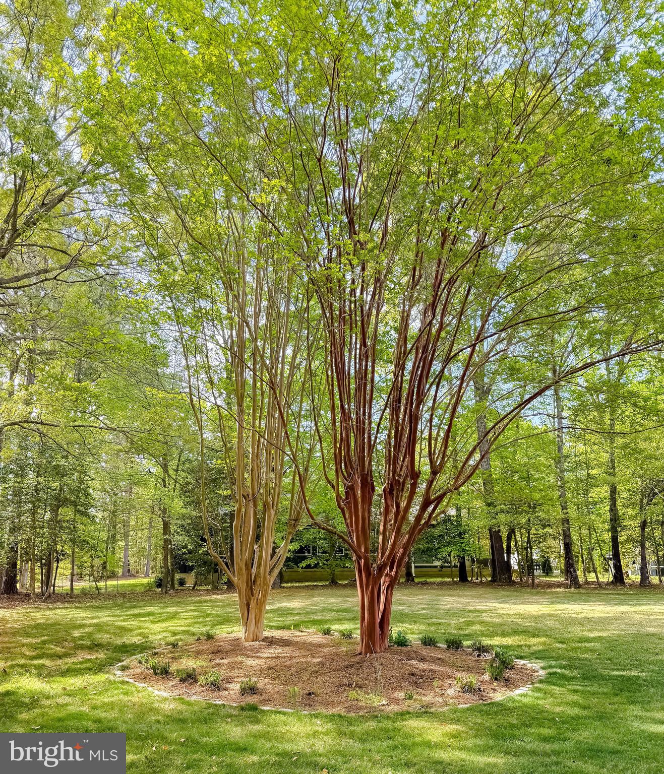 PROSPECT HILL - Residential