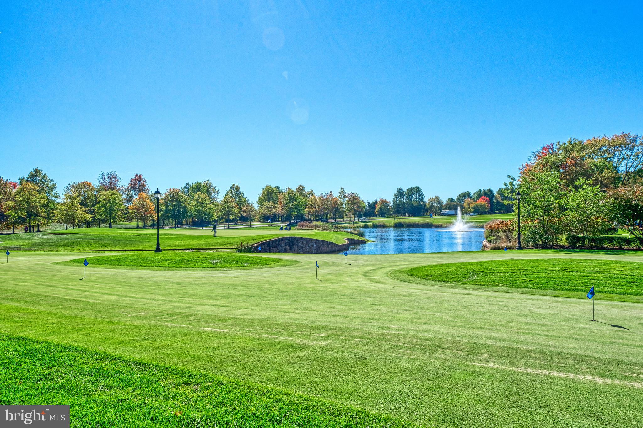 REGENCY AT DOMINION VALLEY - Residential