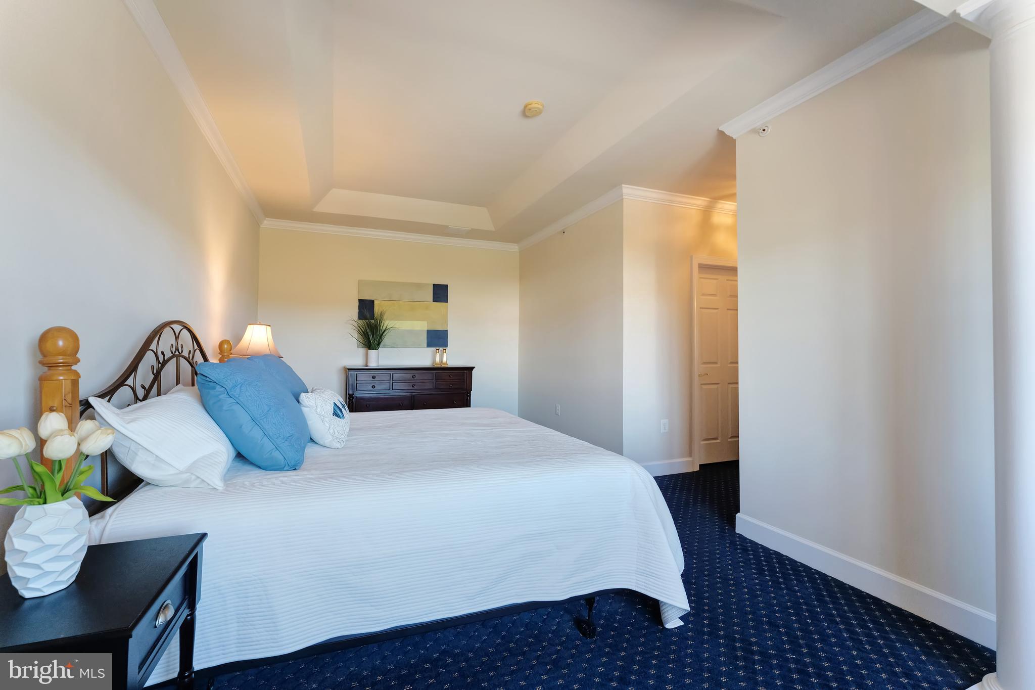 REGENCY AT DOMINION VALLEY - Residential