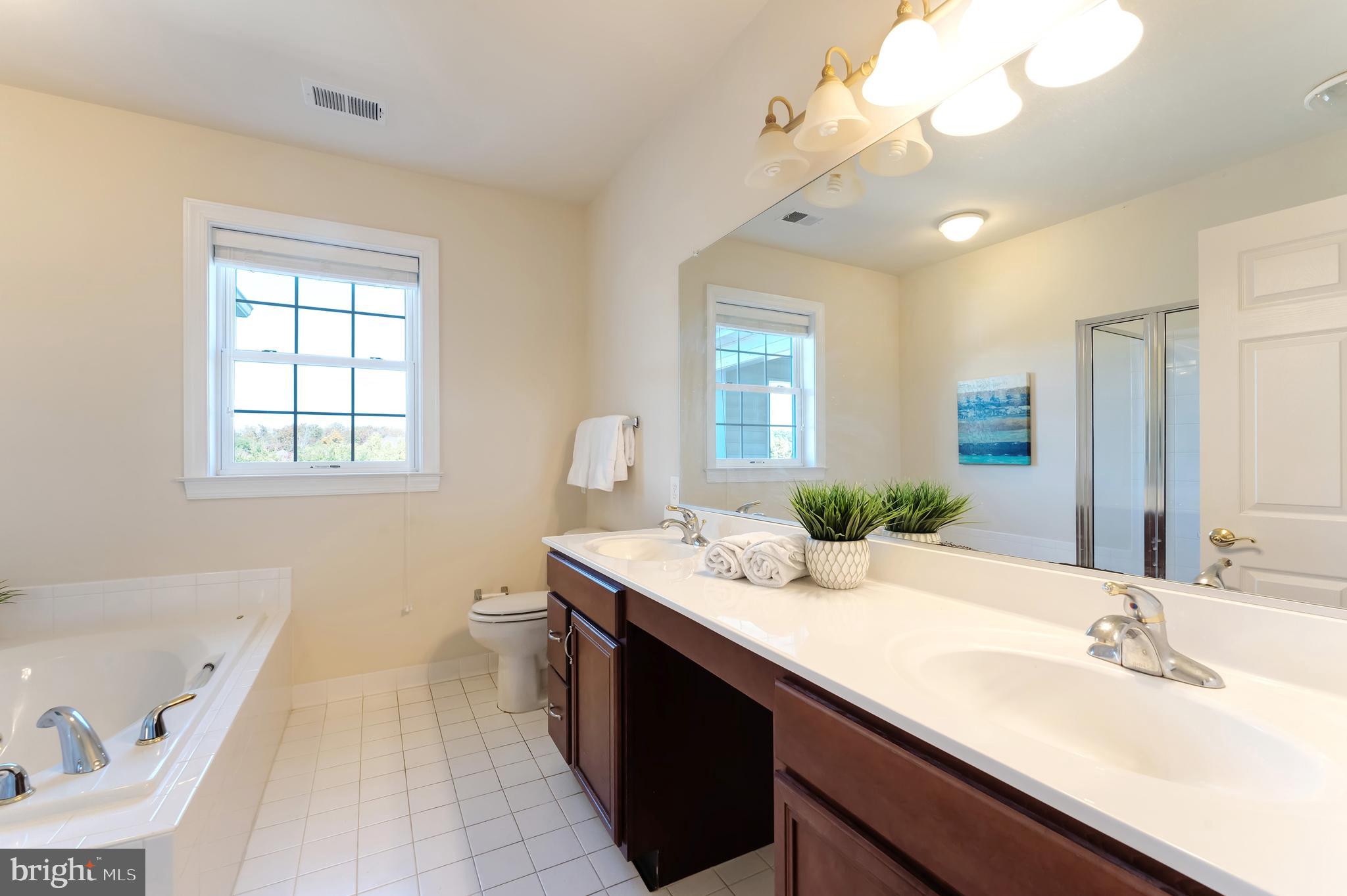 REGENCY AT DOMINION VALLEY - Residential