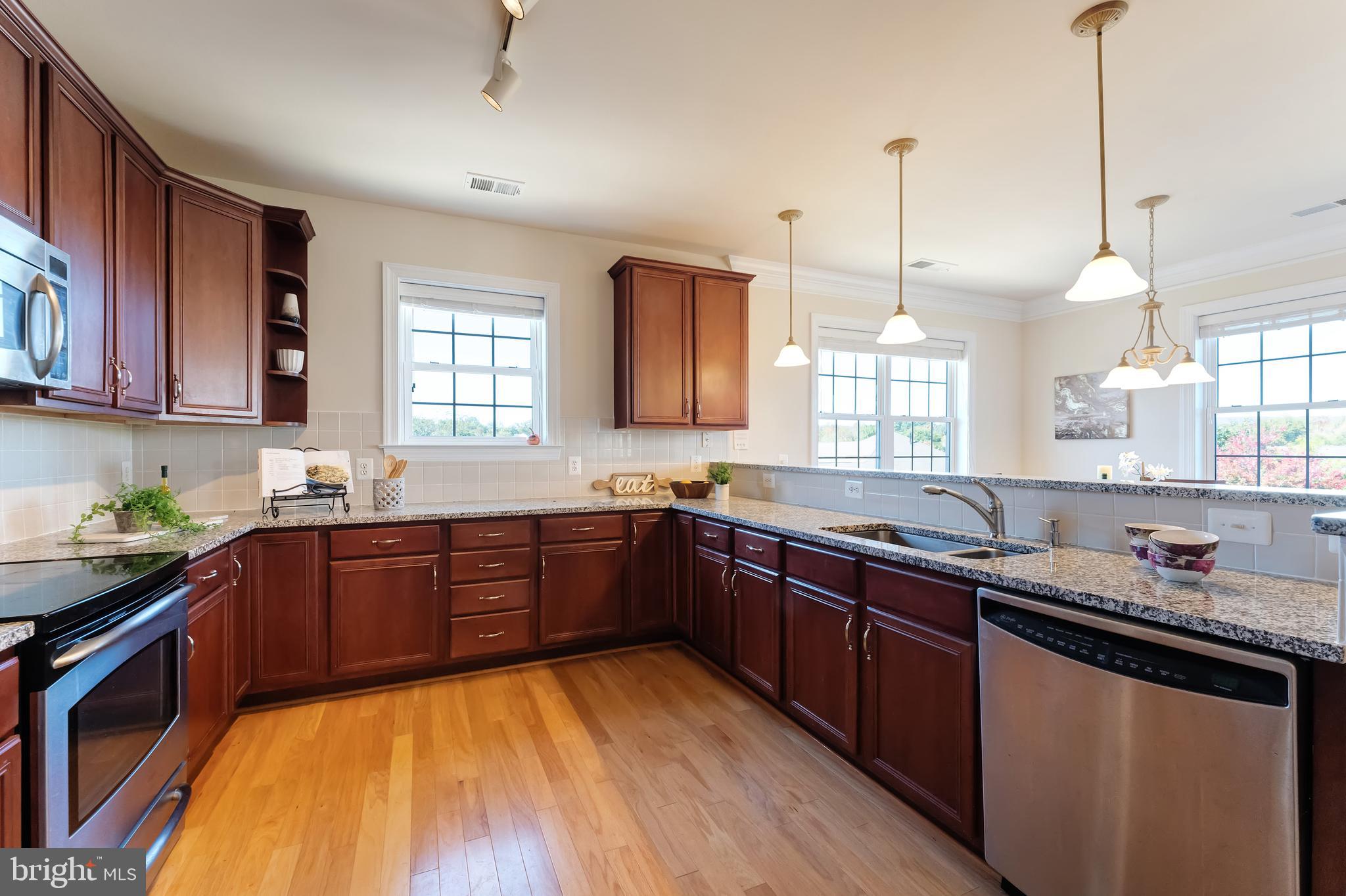 REGENCY AT DOMINION VALLEY - Residential