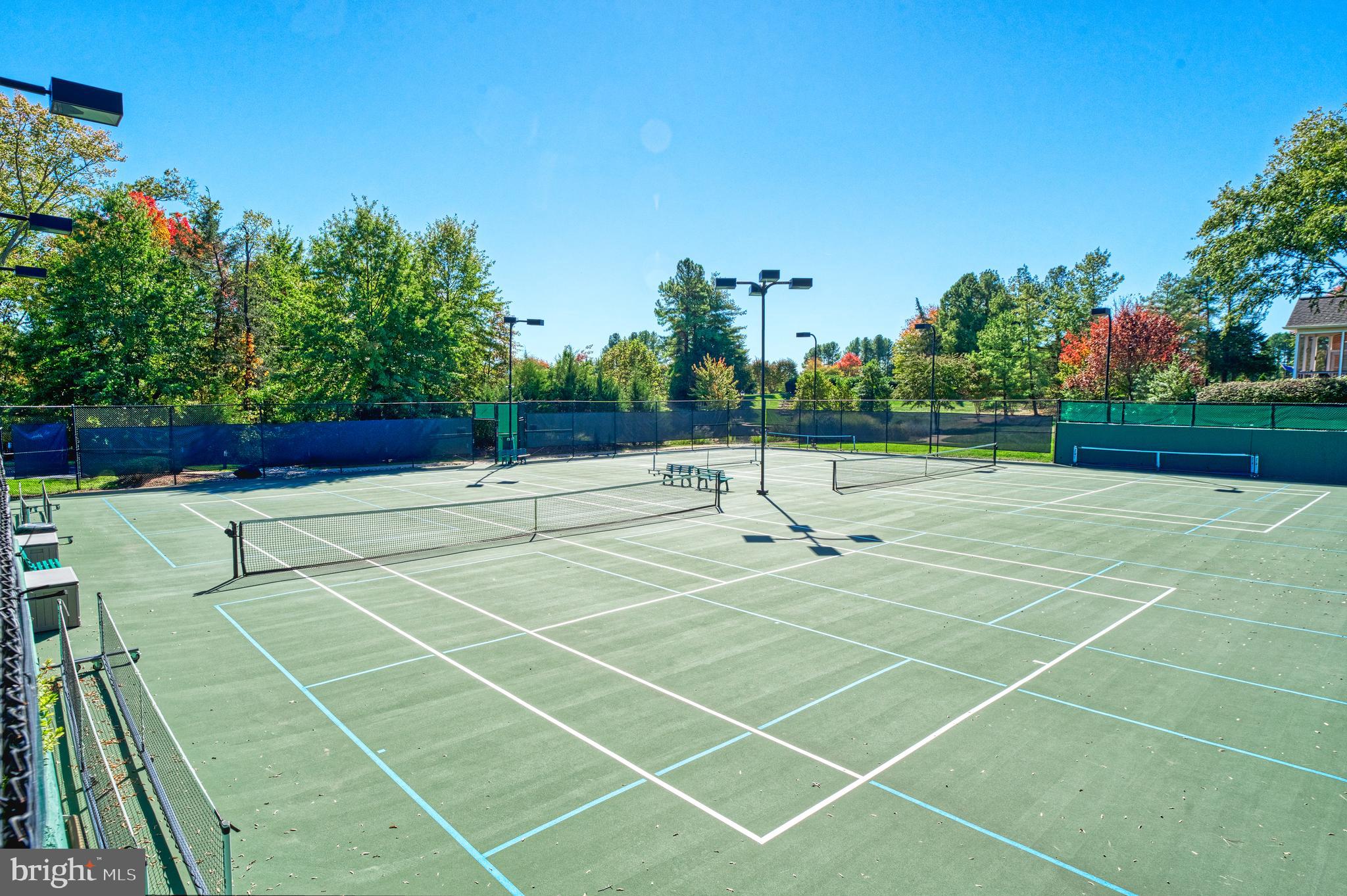 REGENCY AT DOMINION VALLEY - Residential