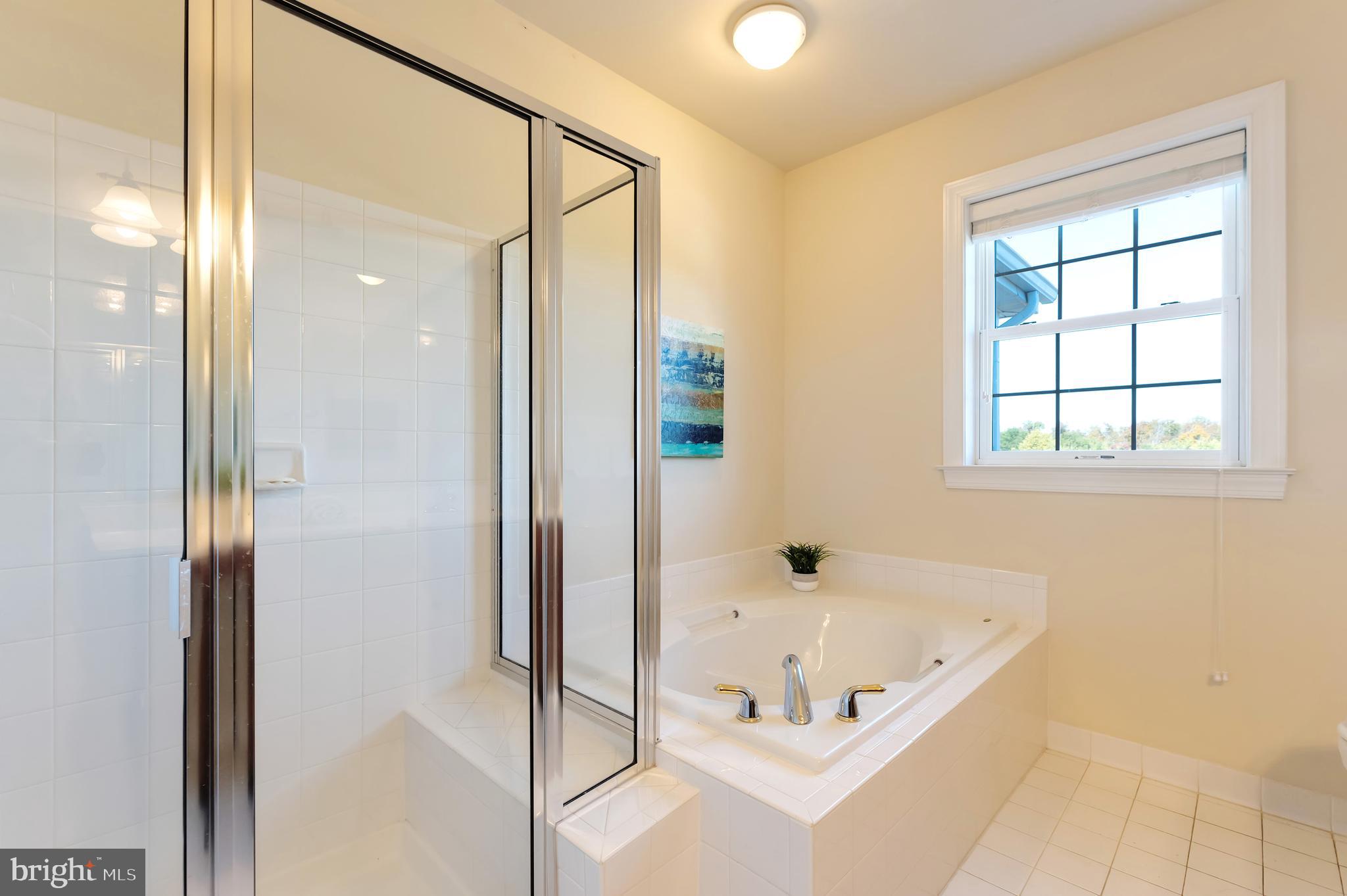 REGENCY AT DOMINION VALLEY - Residential