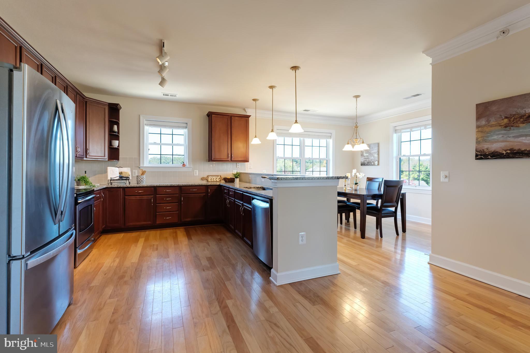 REGENCY AT DOMINION VALLEY - Residential