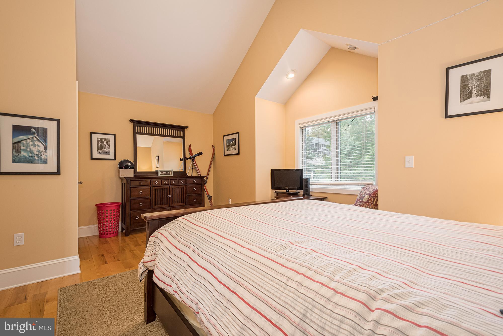 SHINGLE CAMP - Residential