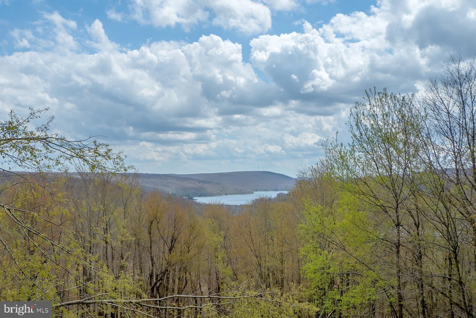 SHINGLE CAMP - Residential