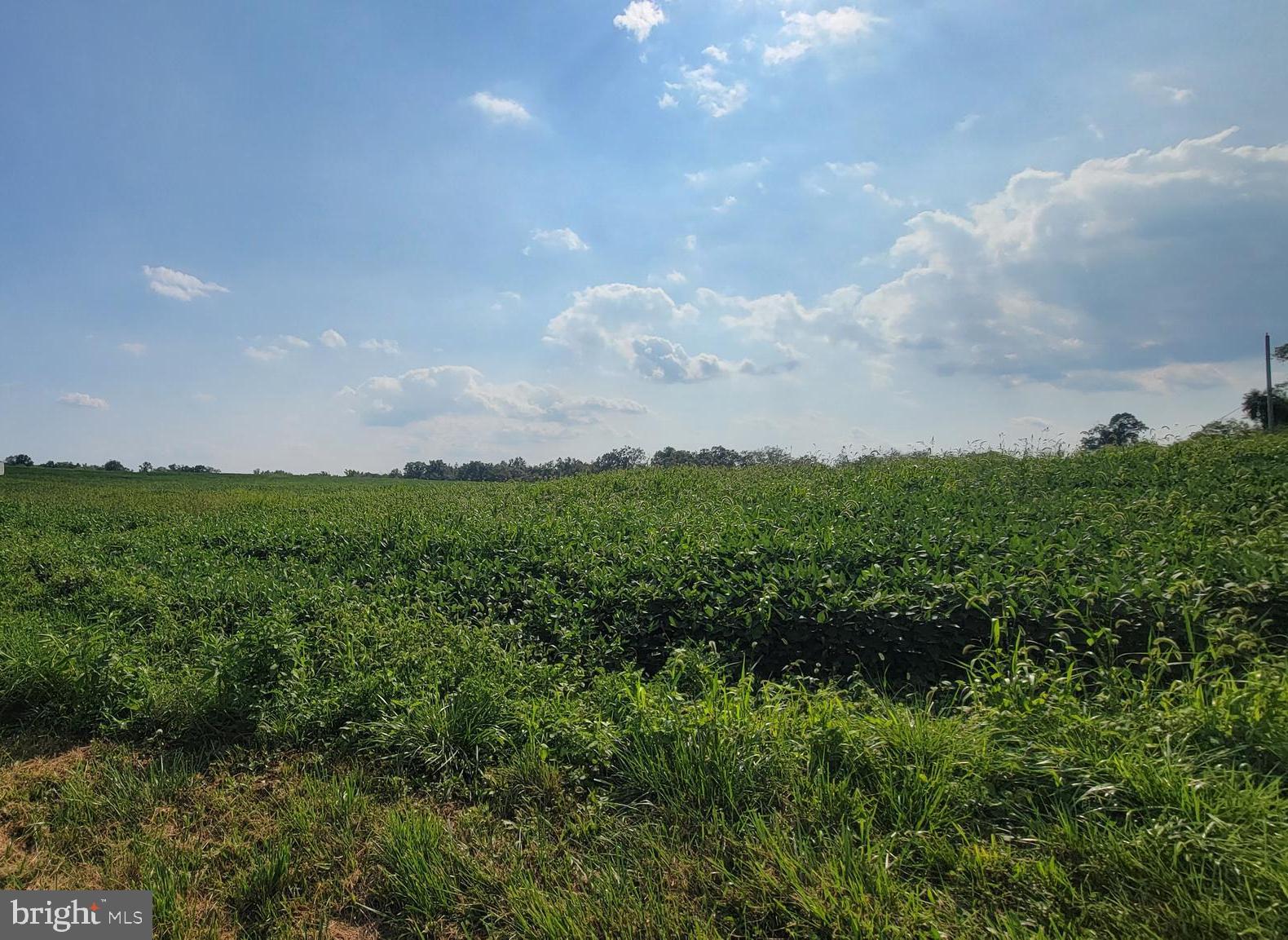 580 MIDDLE CREEK ROAD