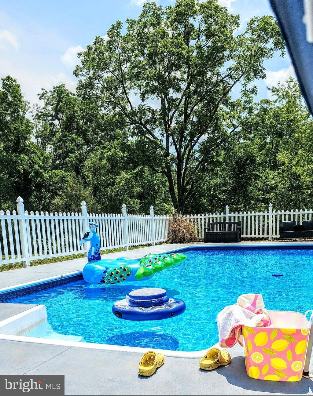 Photo of 155 W Adamsdale Road, SCHUYLKILL HAVEN, PA 17972 (MLS # PASK2024774)