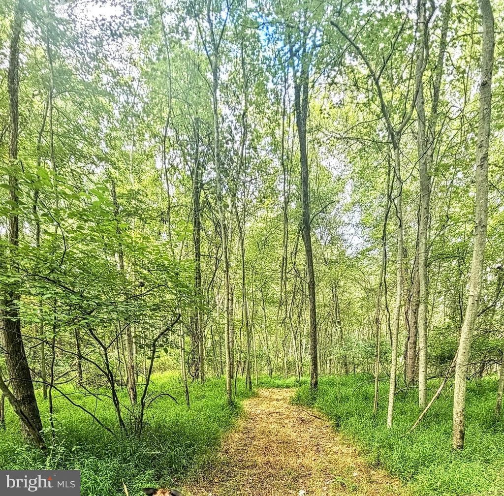 Photo of 155 W Adamsdale Road, SCHUYLKILL HAVEN, PA 17972 (MLS # PASK2024774)