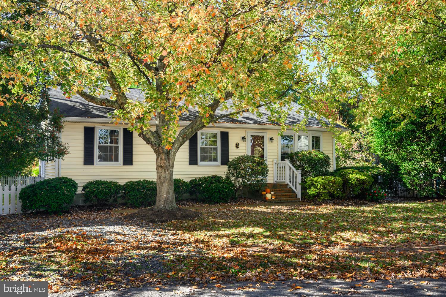 OXFORD - Residential