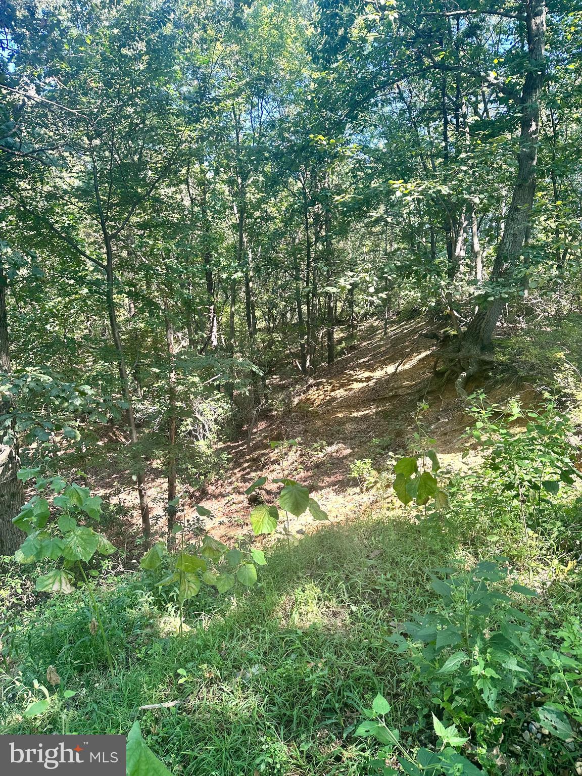 0 BANGOR AVENUE