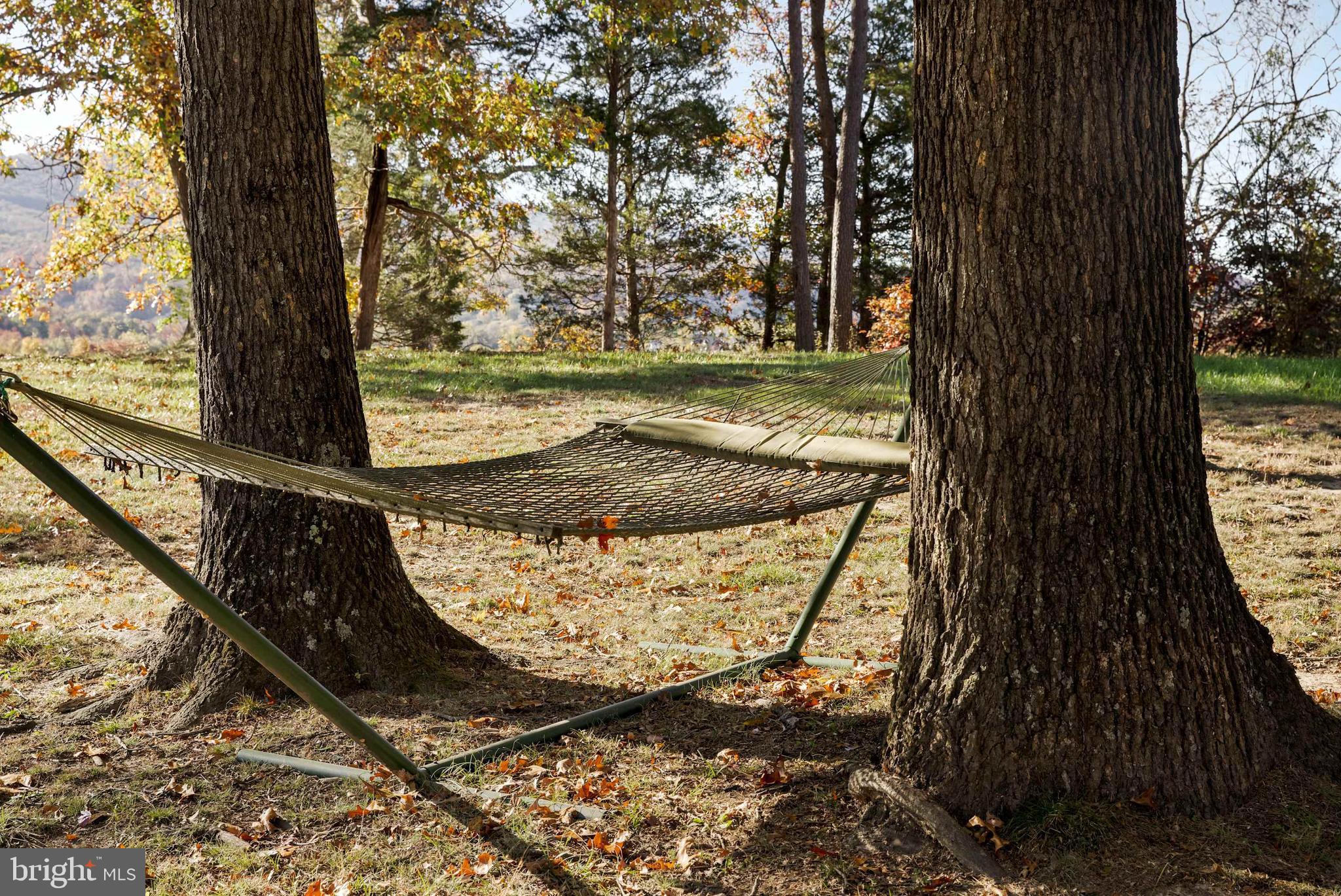 POTOMAC RIVER VISTA - Residential