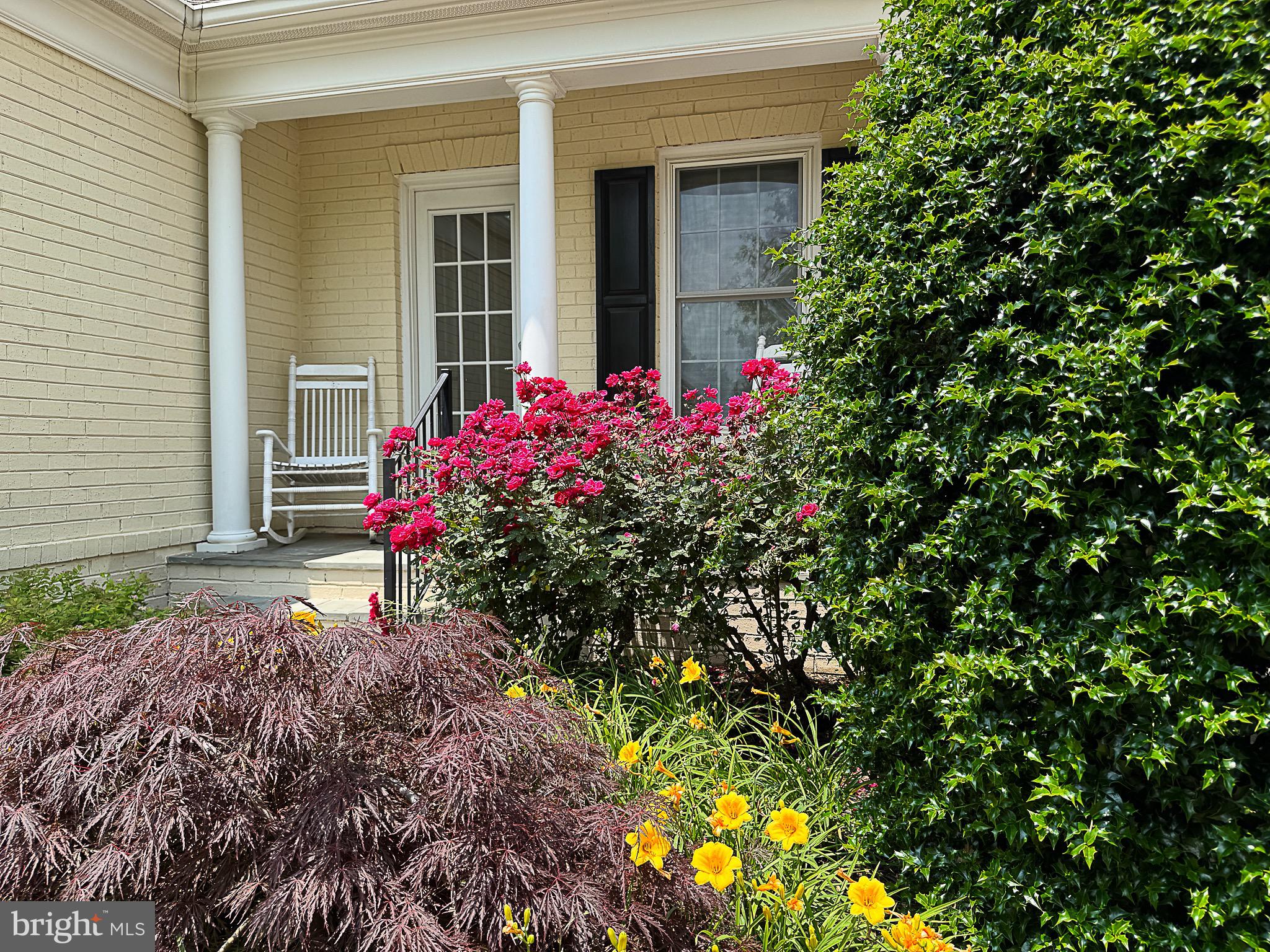 RED CEDAR - Residential