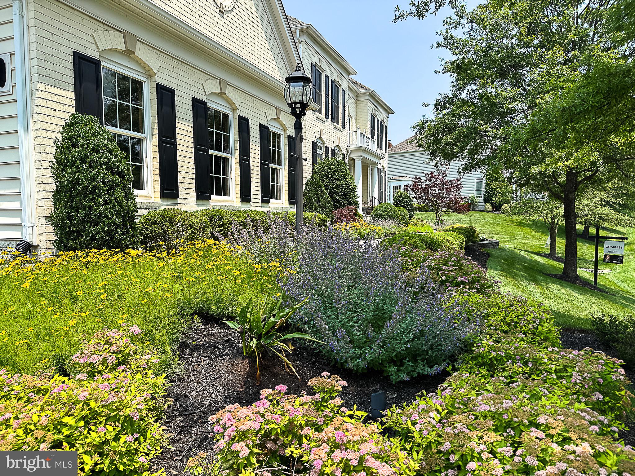 RED CEDAR - Residential