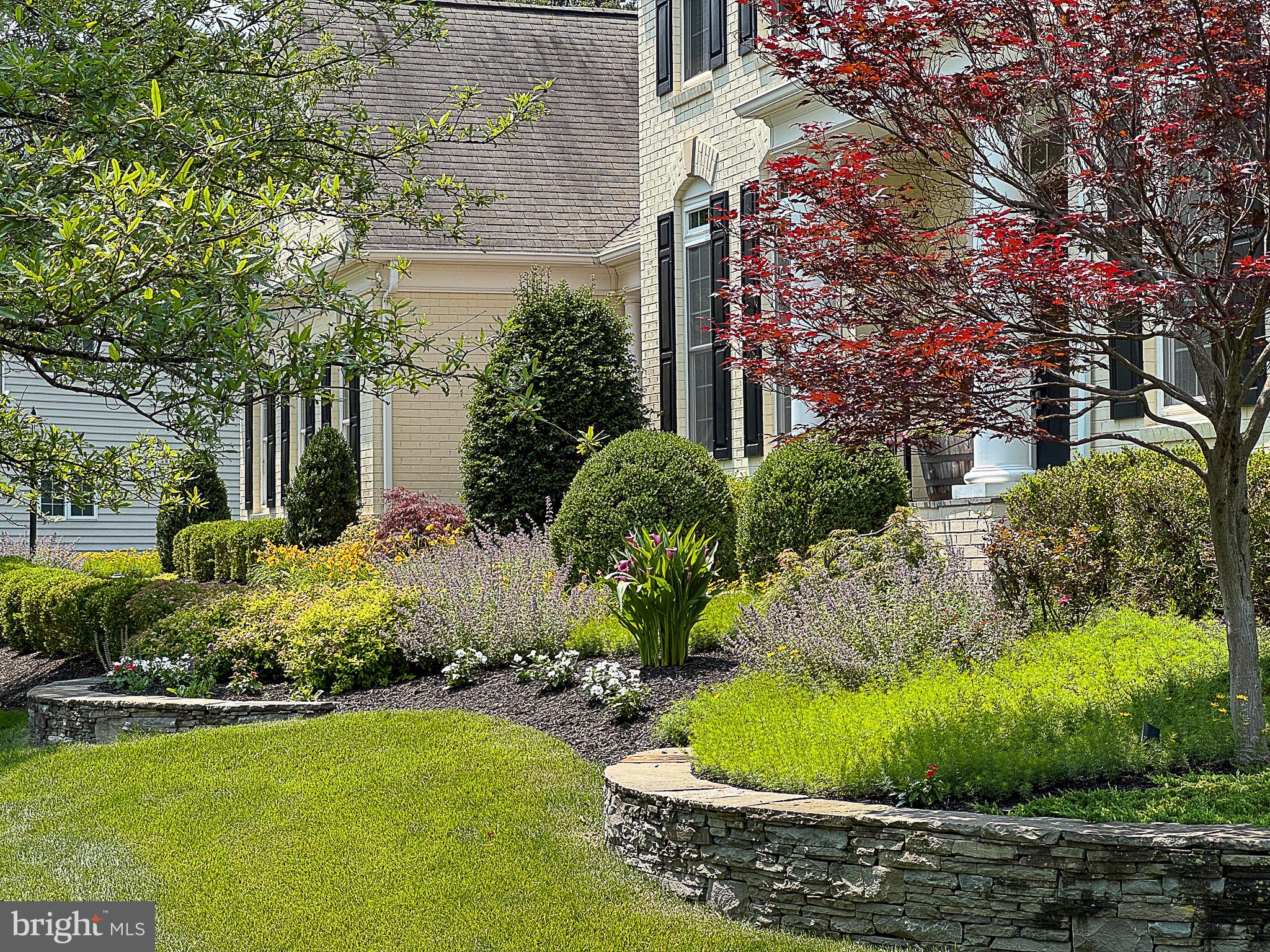 RED CEDAR - Residential