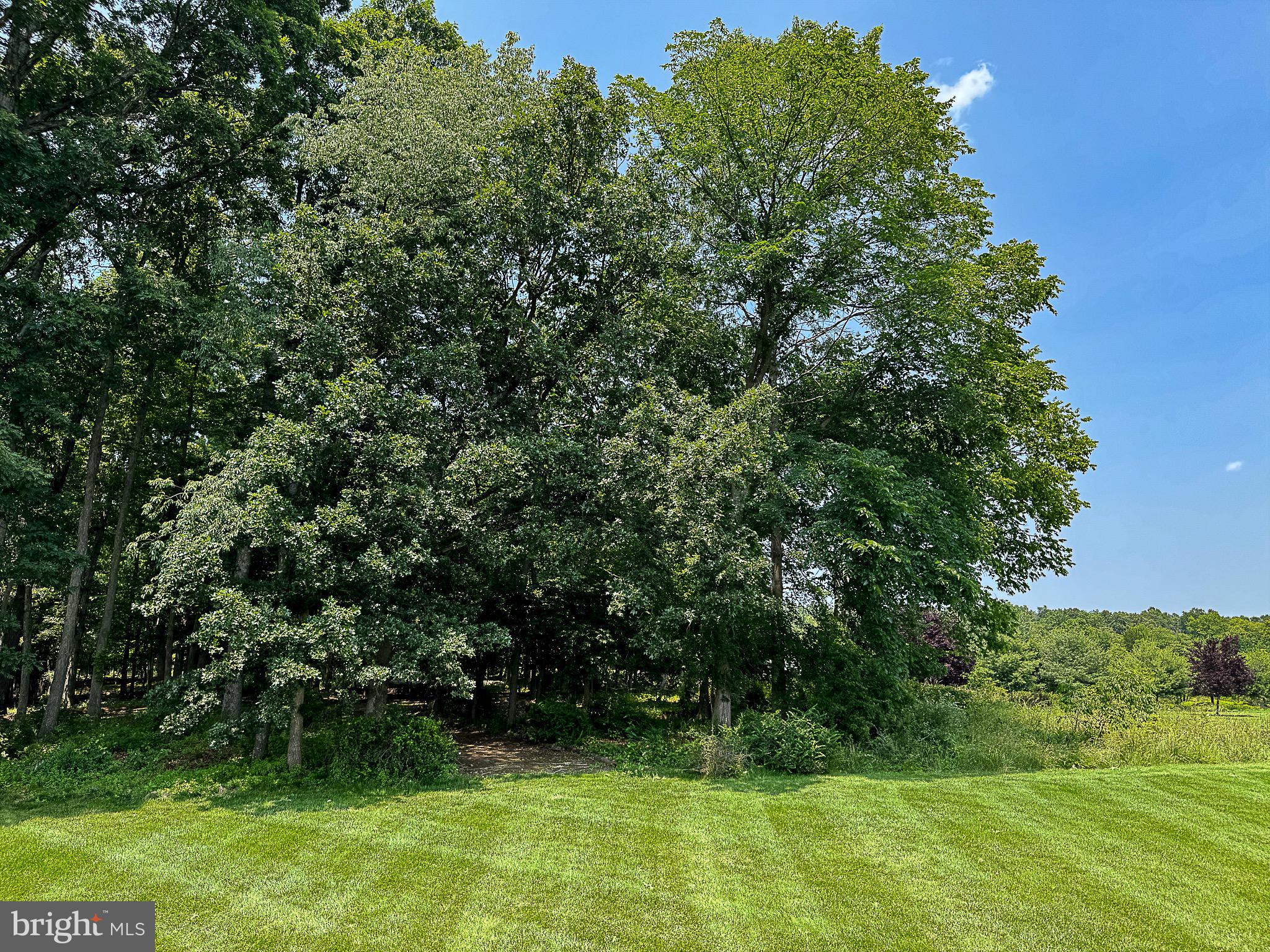 RED CEDAR - Residential