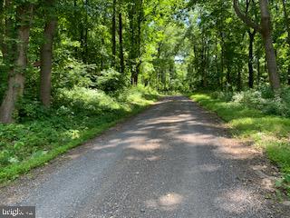 SHEN FARMS MT VIEW - Land