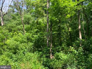 SHEN FARMS MT VIEW - Land