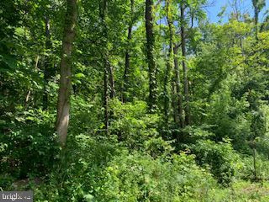 JUST REDUCED!!  Residential lot in Shenandoah Farms Mountain View  consisting of approximately .46 acre.  Build your full time residence or your Linden mountain getaway on the shady sloping lot minutes from I-66-exit 13.  Plenty of shade abounds on this site from the tree canopy all around. There is plenty of time to relax, hike, ride a mountain bike, fish or drive at the nearby Shenandoah River and  Skyline Drive.  There are ample dining option with the quaint downtown streets in the town of Front Royal. Don't wait, fall will be here soon!