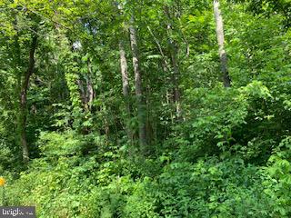 SHEN FARMS MT VIEW - Land