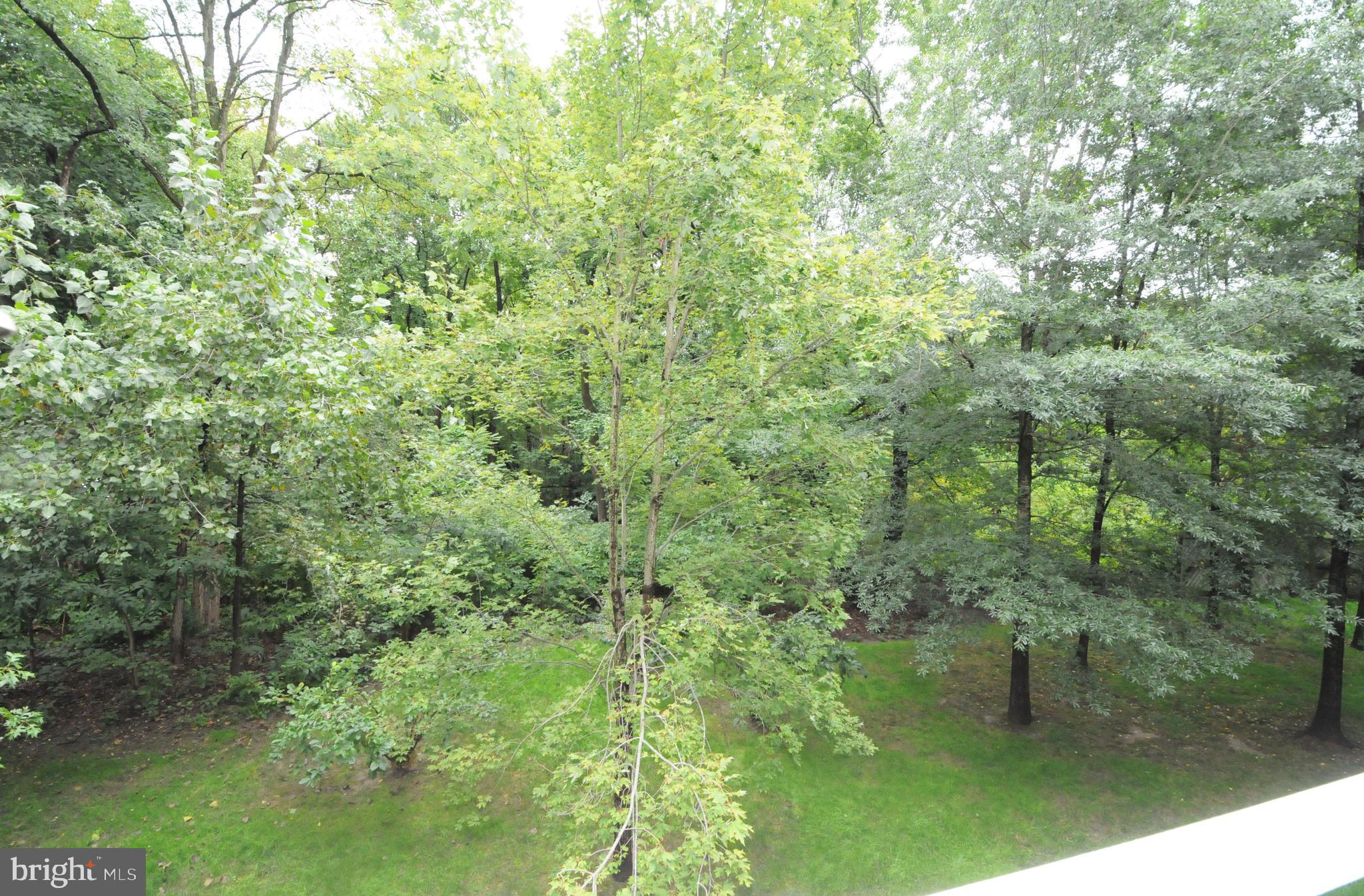 18 WEST - Residential Lease