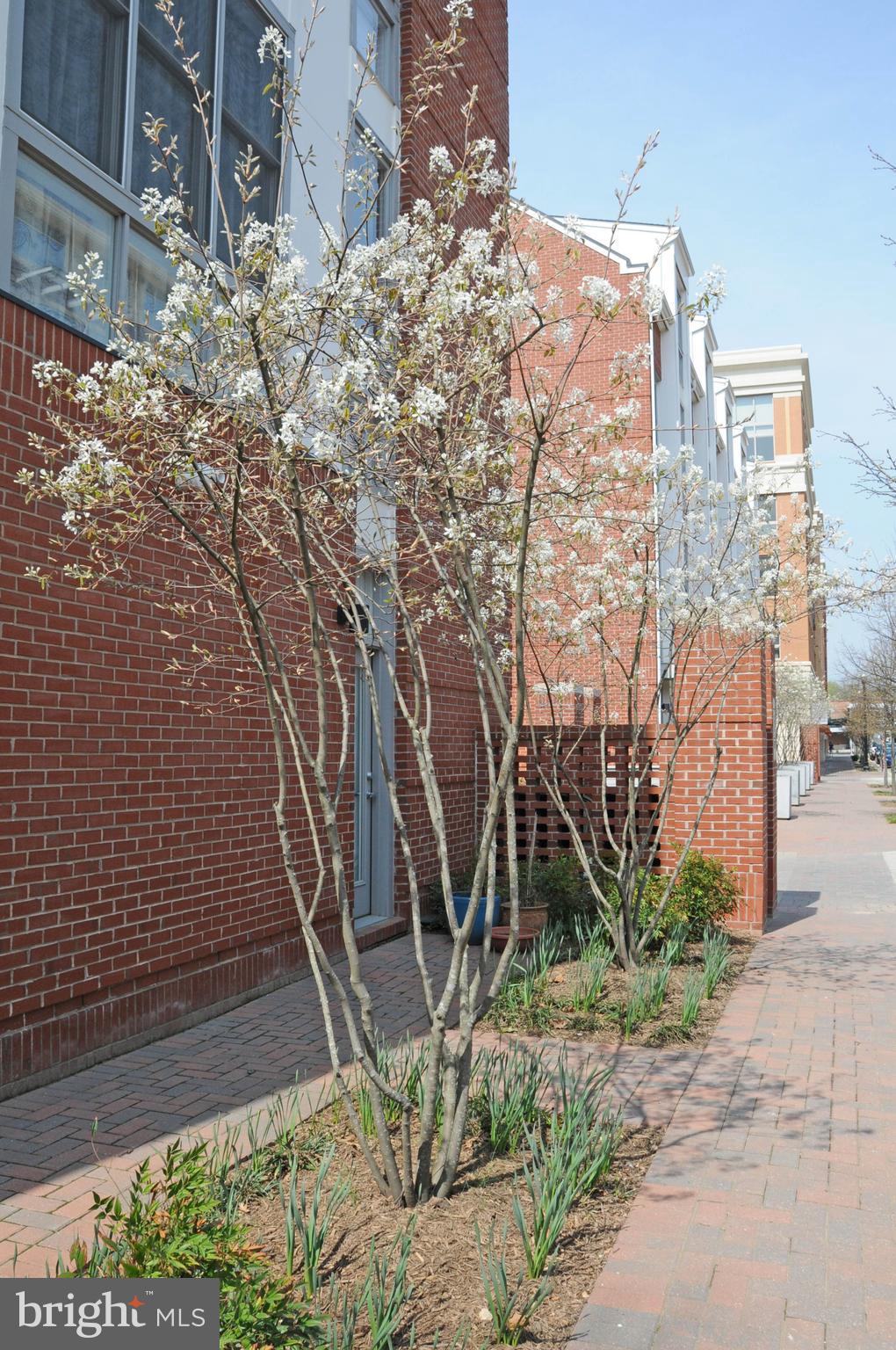 18 WEST - Residential Lease