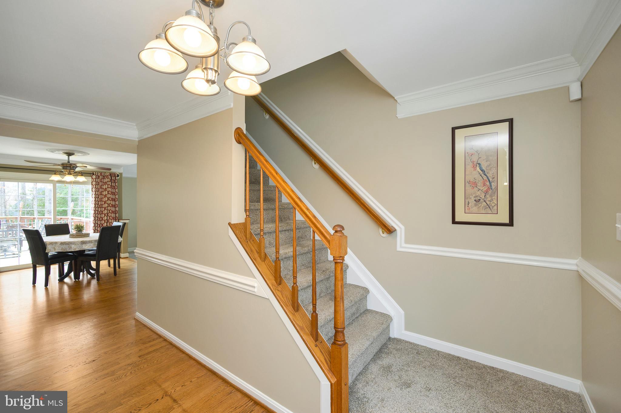 HUNTER TRAIL AT STAFFORD - Residential