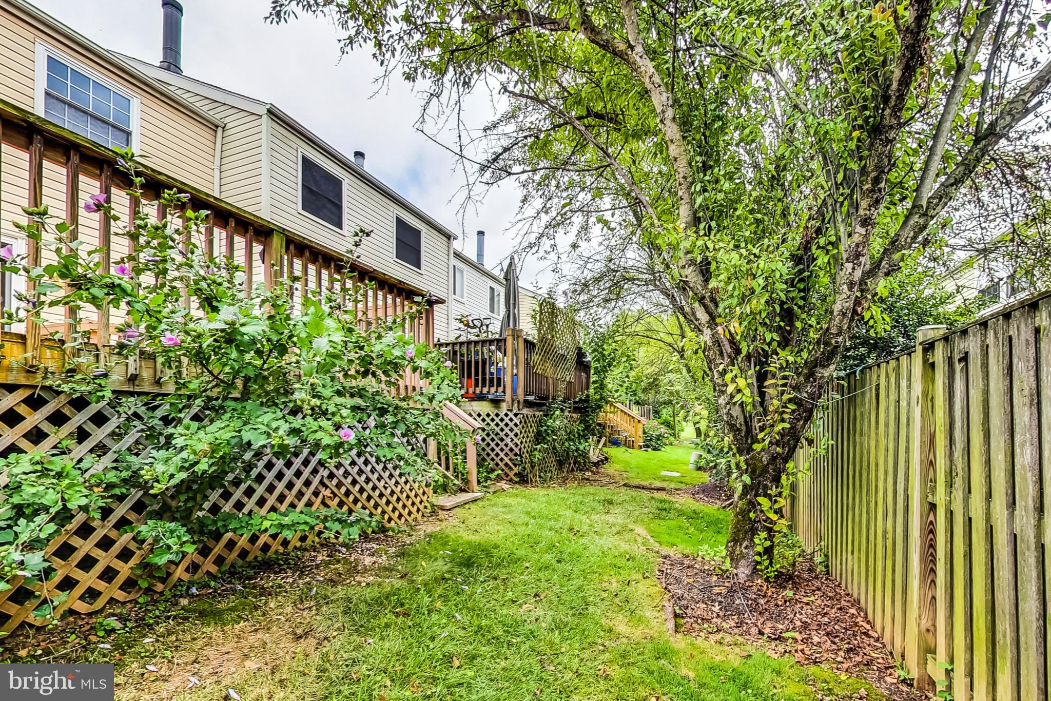 PARK OVERLOOK - Residential Lease