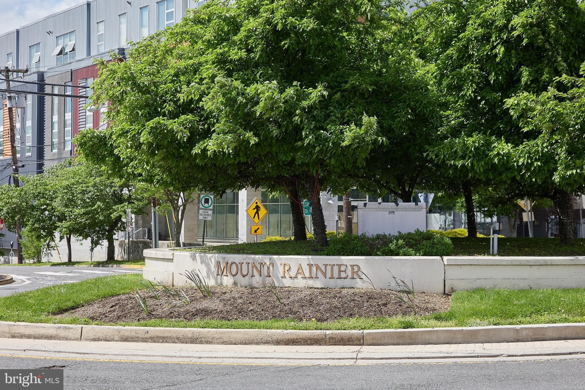MOUNT RAINIER - Residential