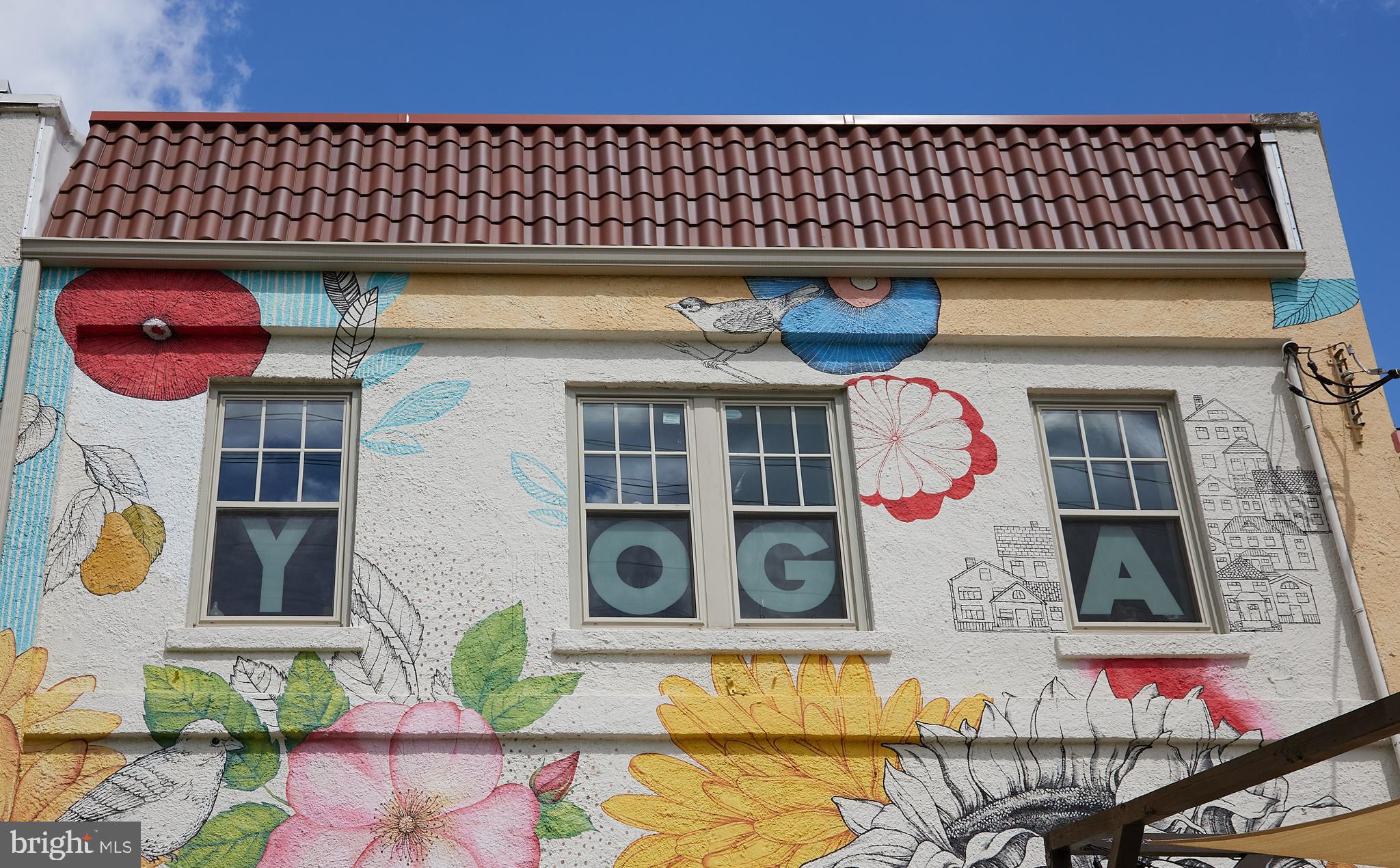 MOUNT RAINIER - Residential