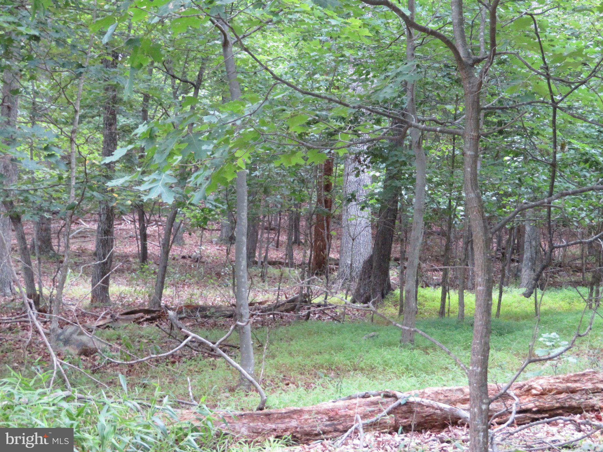 Lot 11 AUDUBON ROAD