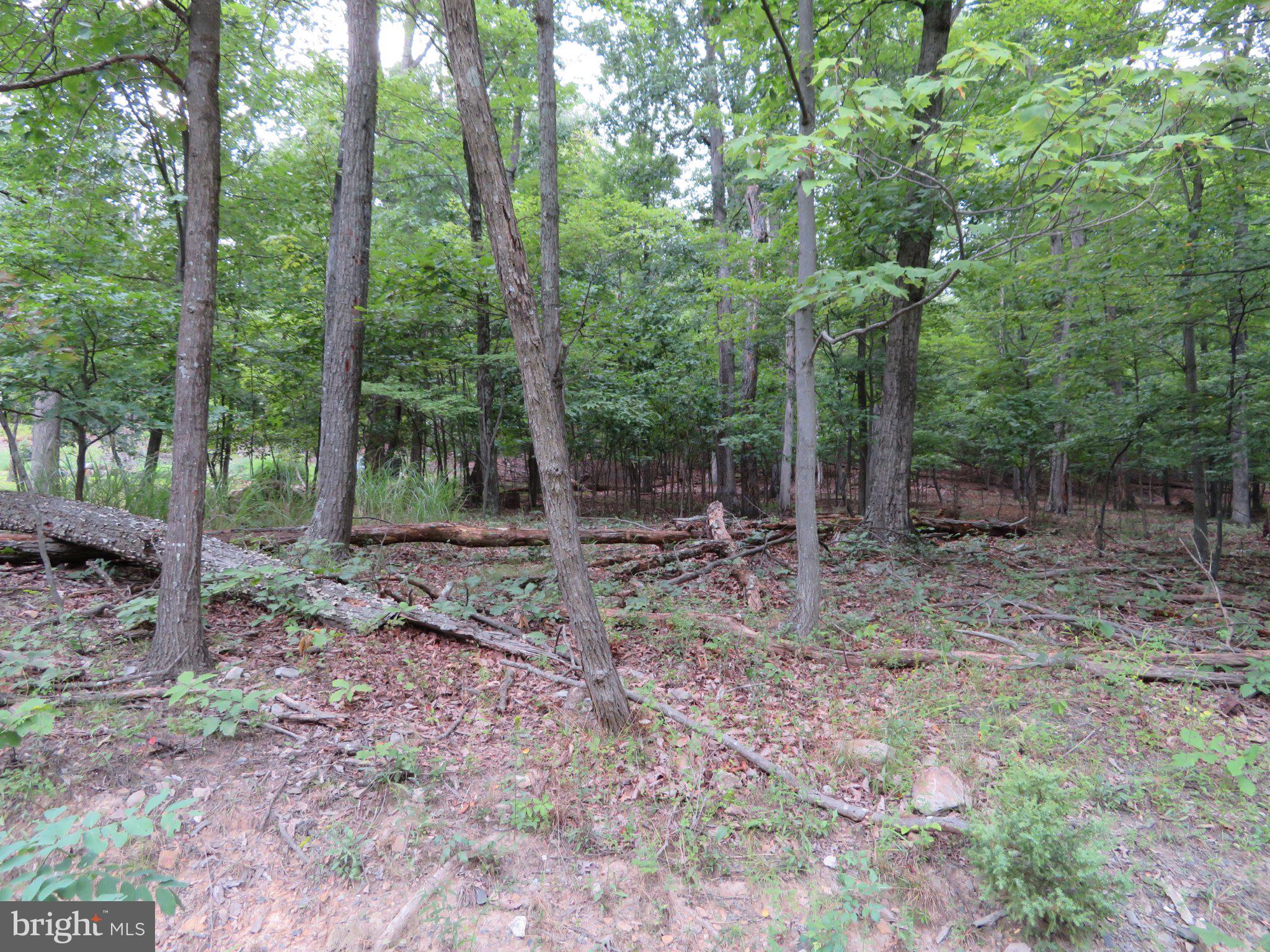 Lot 11 AUDUBON ROAD