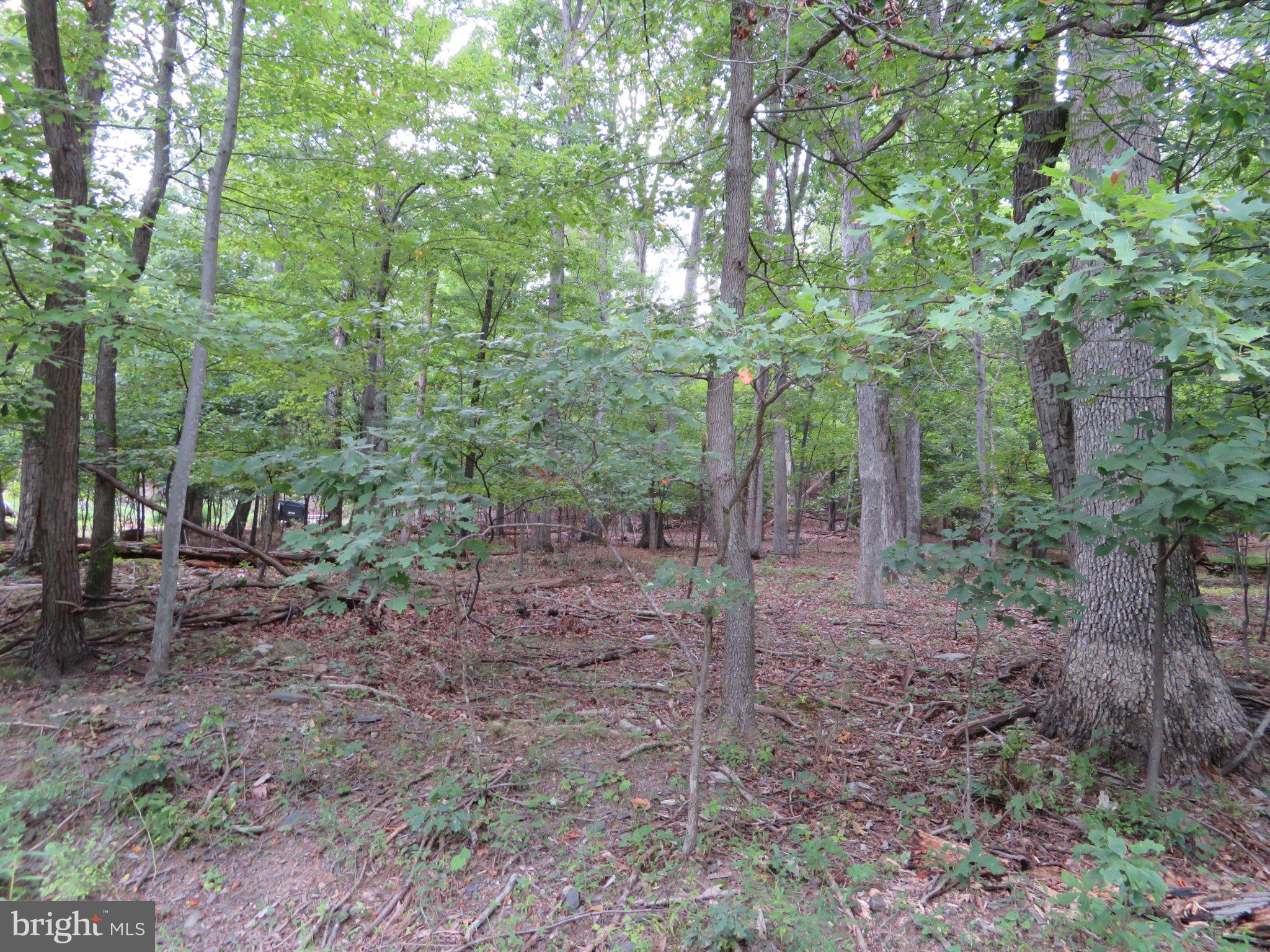 Lot 11 AUDUBON ROAD