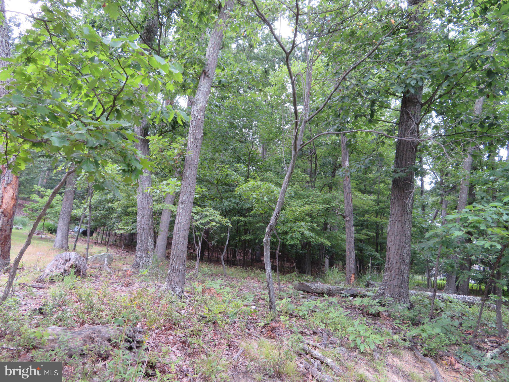 Lot 11 AUDUBON ROAD