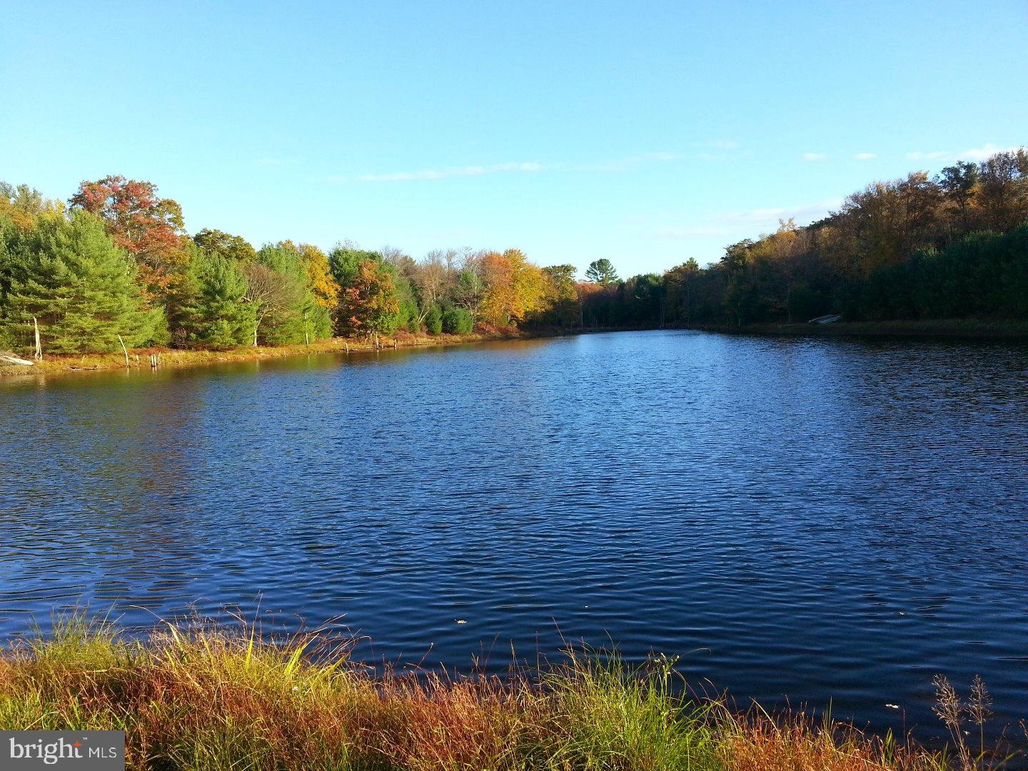 Beautiful 685 acres with a lake, the great outdoors right at your fingertips. Use as your own oasis or subdivide and develop. The opportunities are just to numerous to list. The property has a hunting lodge that is approximately 2498 sq. ft. with 4 bedrooms one bath, kitchen, great room and fireplace. Also, includes an outbuilding and a large barn. Location is convenient to New Jersey and New York along with plenty of shopping and specialty shops near by! Do not walk the property without permission!!